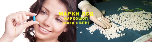 стаф Михайлов