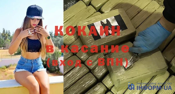 сатива Козельск