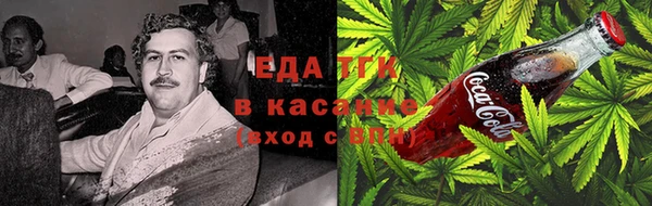 сатива Козельск